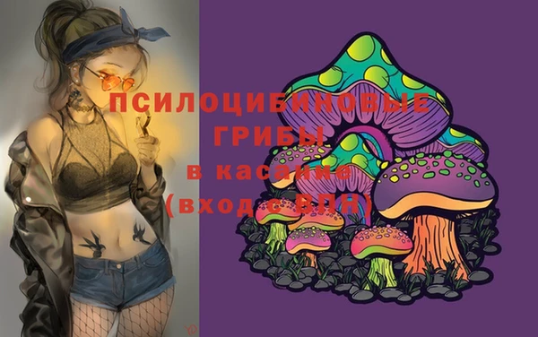 спайс Алексин