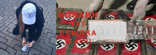трава Осинники